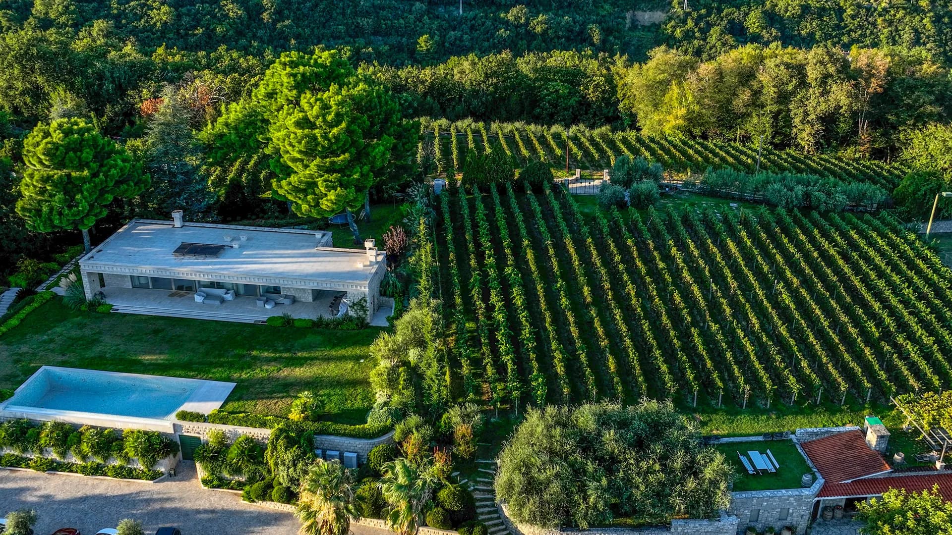 MONTENEGRO THROUGH THE LENS OF FLAVOR